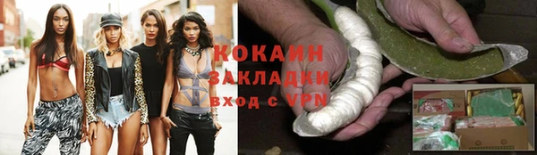 крисы Пестово