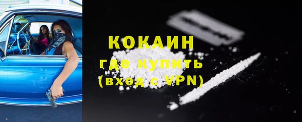 прущие грибы Пересвет