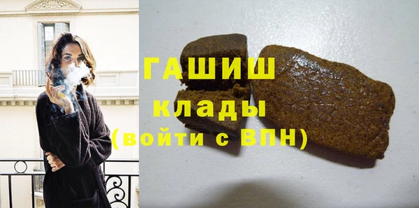 прущие грибы Пересвет