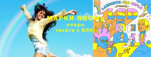 прущие грибы Пересвет