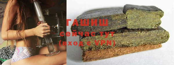 прущие грибы Пересвет